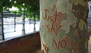 Atrévete a decir no, no y no
